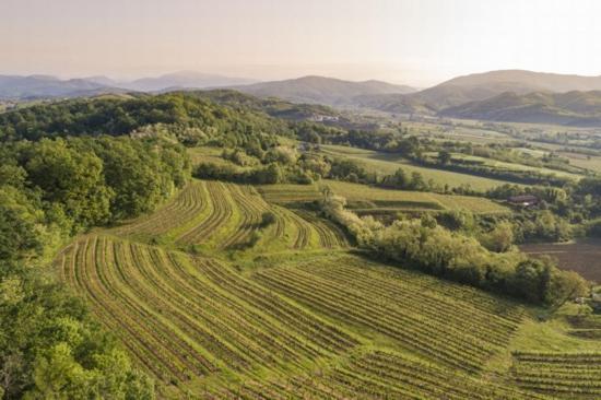 Agriturismo Spolert Winery Prepotto  Zewnętrze zdjęcie