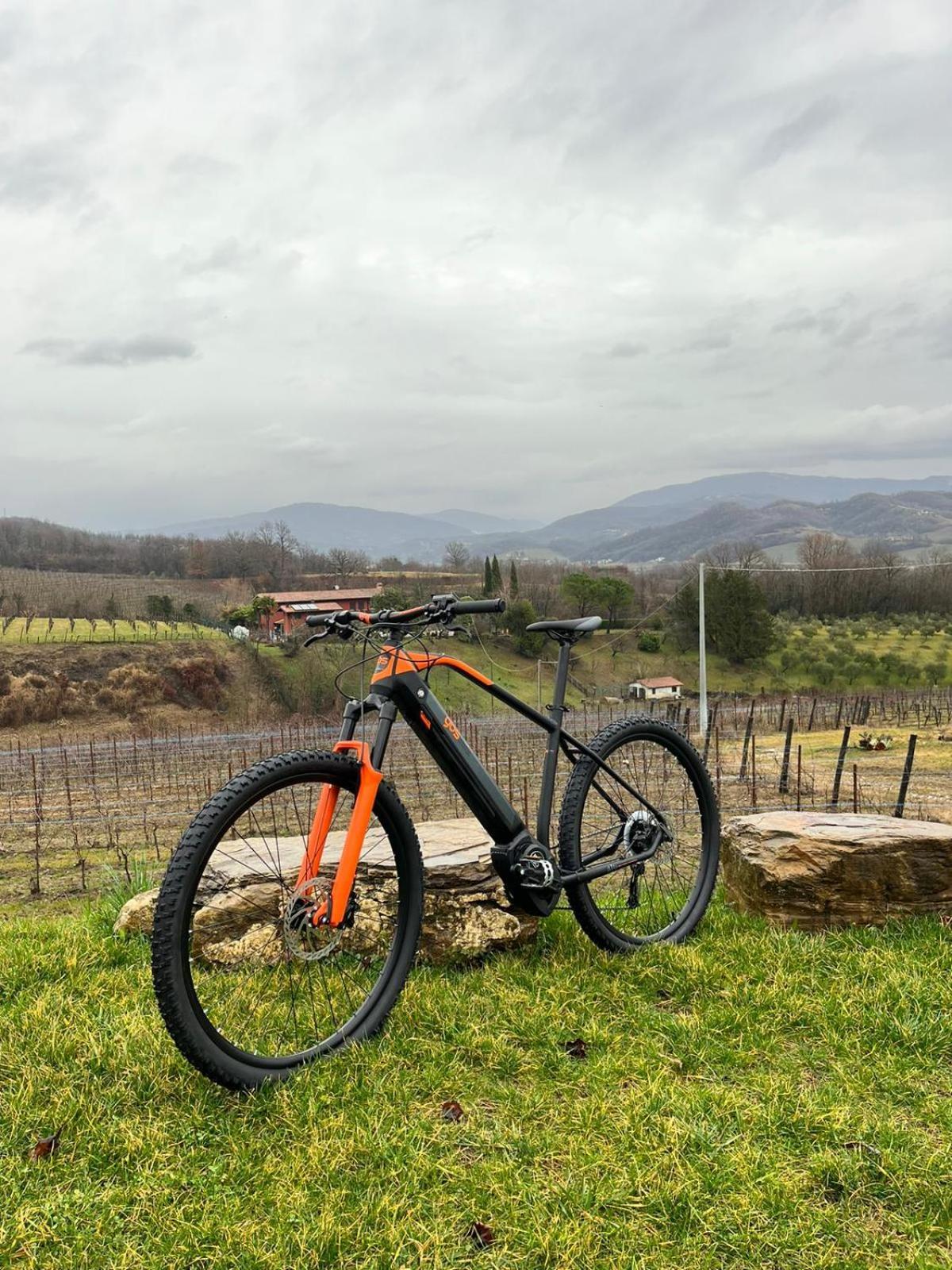 Agriturismo Spolert Winery Prepotto  Zewnętrze zdjęcie